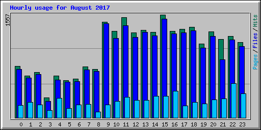 Hourly usage for August 2017