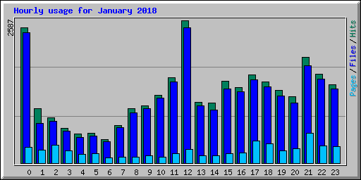 Hourly usage for January 2018