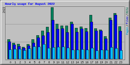 Hourly usage for August 2022